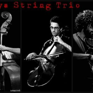 Zygrya_String_Trio_Foto_5